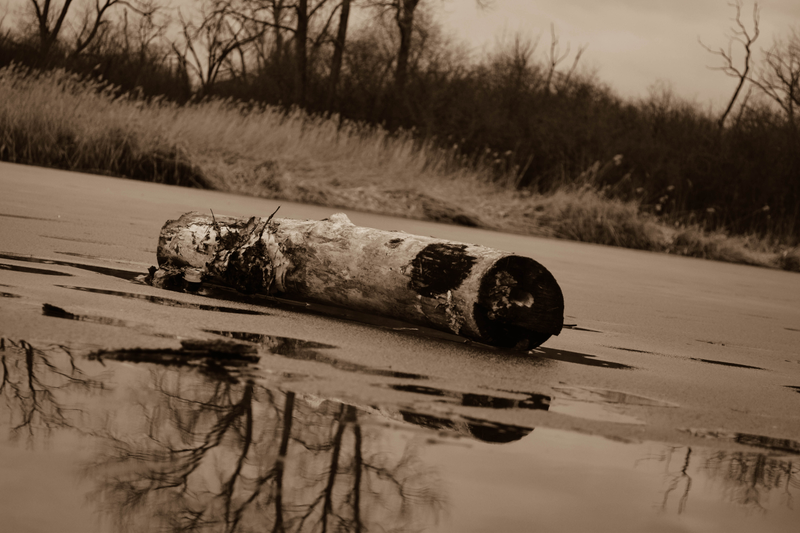Illustration for article titled Cusp of Spring (Photo Heavy)